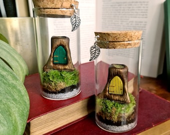 Fairy Door Tree Stump Terrarium Bottle, Desk Pet Indoor Plant Gift Ideas