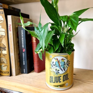 Olive Oil Retro Style Tin Indoor Plant Pot, Hummingbird Small House Planters