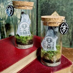 Moria Durin's Door Terrarium Bottle, Lord Of The Rings Indoor Plant Gift Ideas image 2