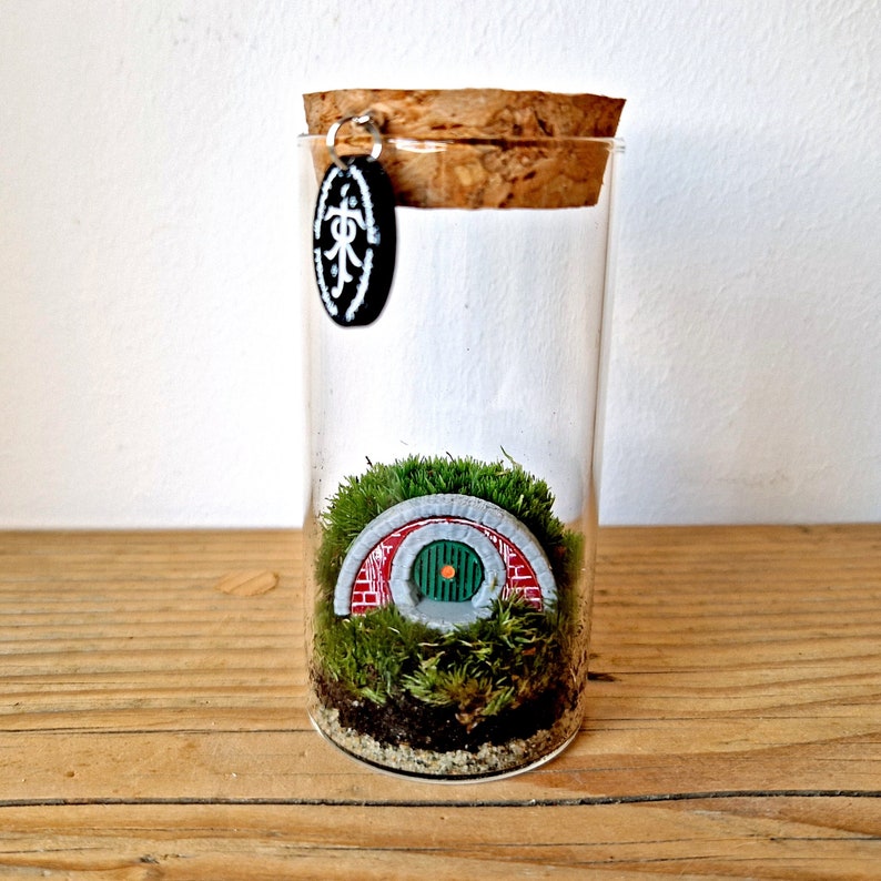 Hobbit Hole Terrarium Bottle, Lord Of The Rings Indoor Plant Gift Ideas image 5