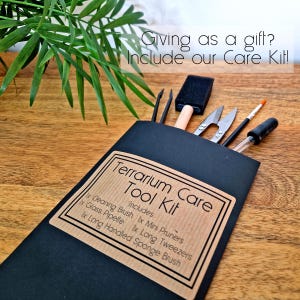 May include: A black terrarium care tool kit with a brown label that reads "Terrarium Care Tool Kit." The kit includes a cleaning brush, mini pruners, glass pipette, long tweezers, and a long-handled sponge brush. The text "Giving as a gift? Include our Care Kit!" is also visible.
