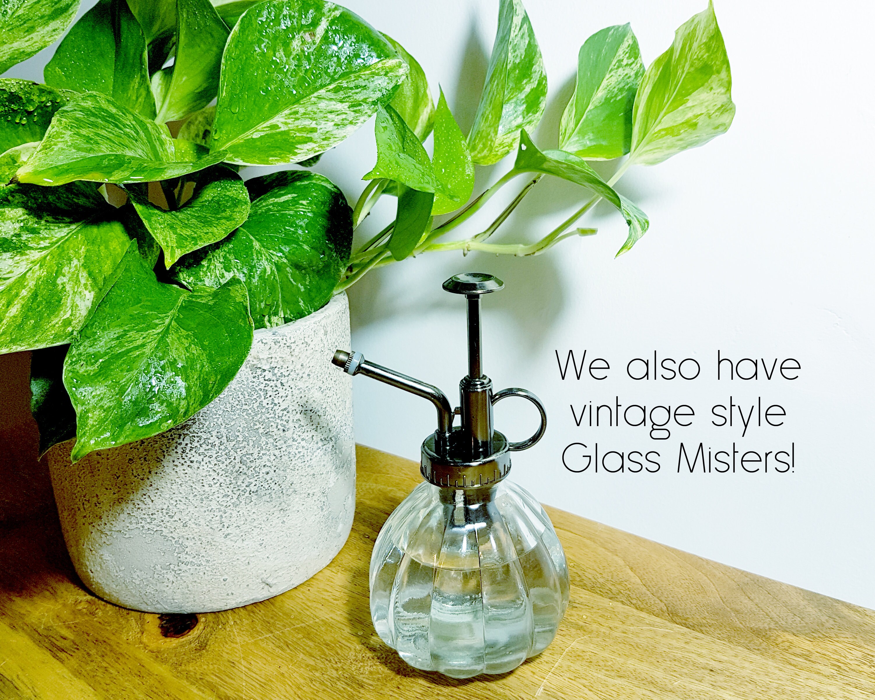 Plant Mister Water Sprayer for House Plants Indoor Plant Gift Etsy UK