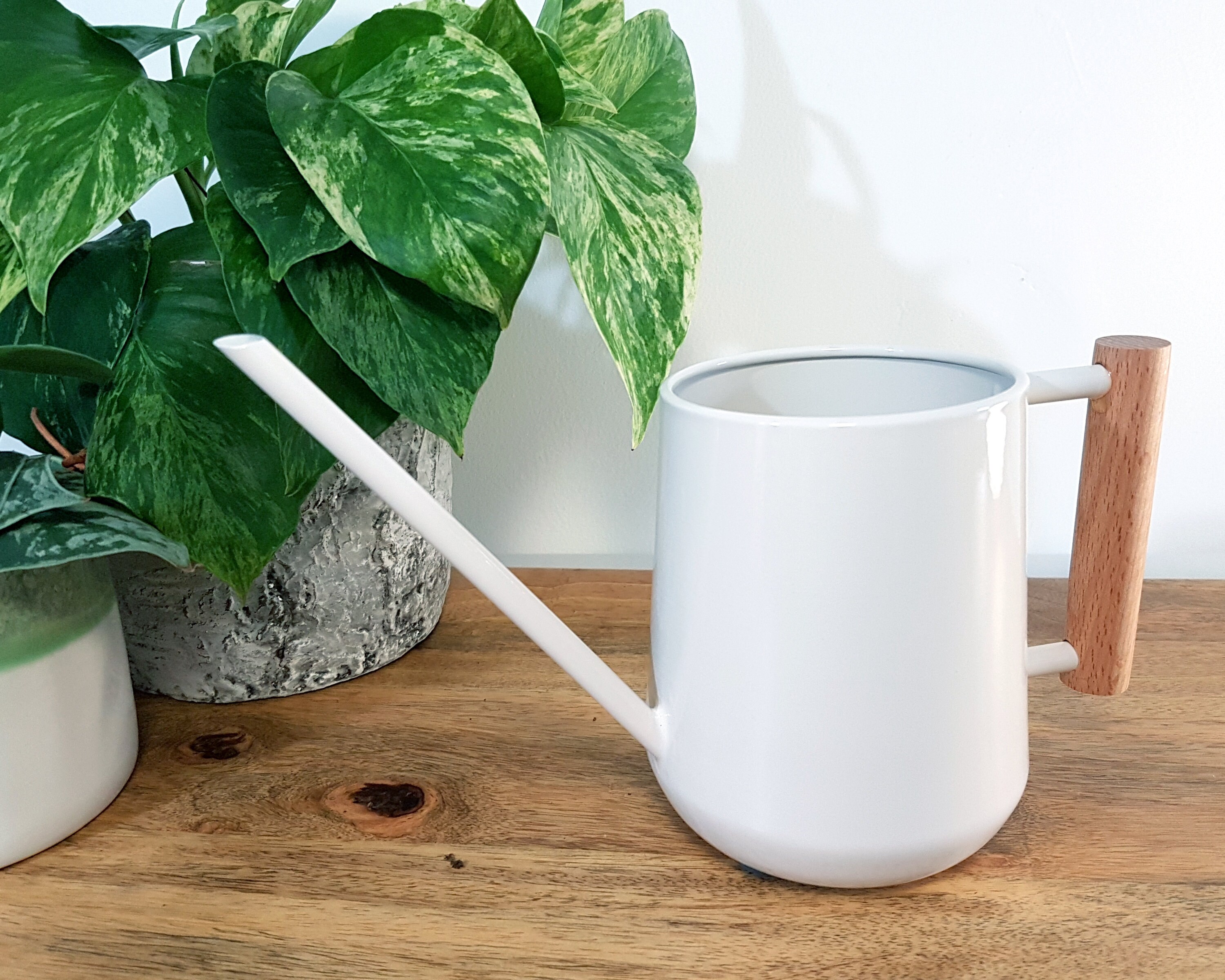 Indoor Watering Can House Plant Tools Modern Home Decor Plant Etsy