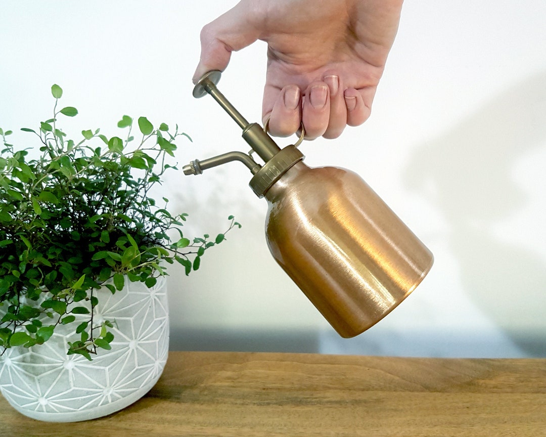 Flacon pulvérisateur plantes - Nos accessoires pour vos bouquets de fleurs  et plantes vertes