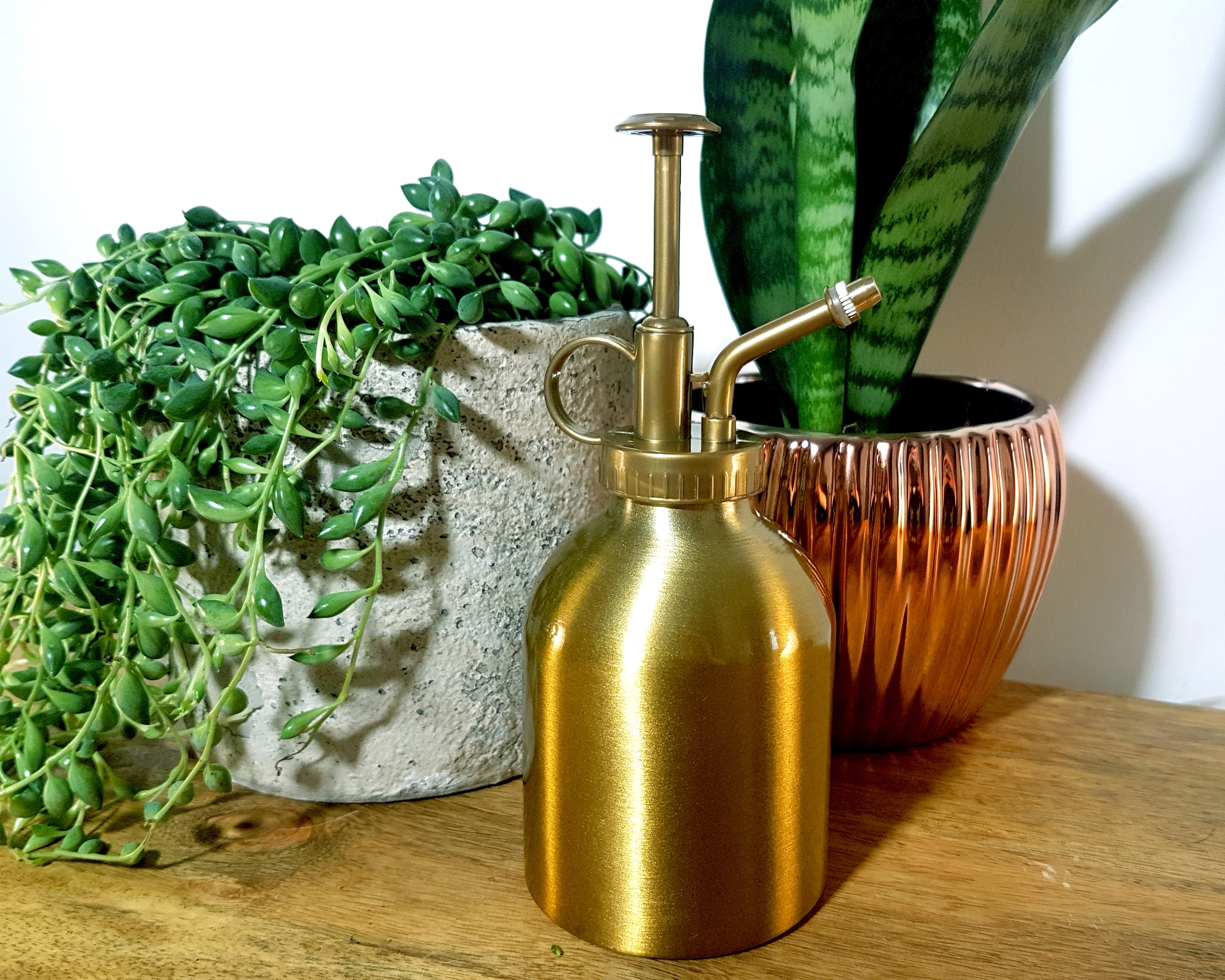 Plant Mister Water Sprayer for House Plants Indoor Plant Gift Etsy UK