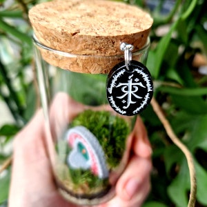 Hobbit Hole Terrarium Bottle, Lord Of The Rings Indoor Plant Gift Ideas image 7
