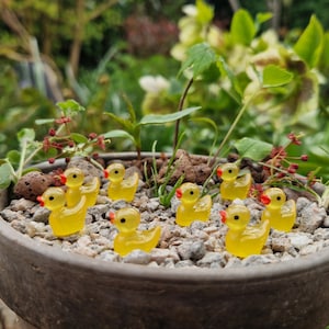 May include: A ceramic pot filled with small rocks and miniature yellow duck figurines with red beaks. The pot is surrounded by greenery, creating a whimsical garden scene. The ducks are about 2.5 cm tall.