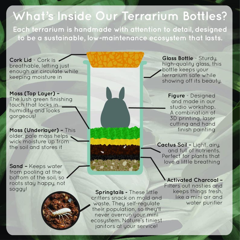 May include: An illustrated diagram of a terrarium bottle, showcasing its components: cork lid, glass bottle, moss layers, cactus soil, sand, activated charcoal, and springtails. A gray figure is inside the bottle. Text explains each element.