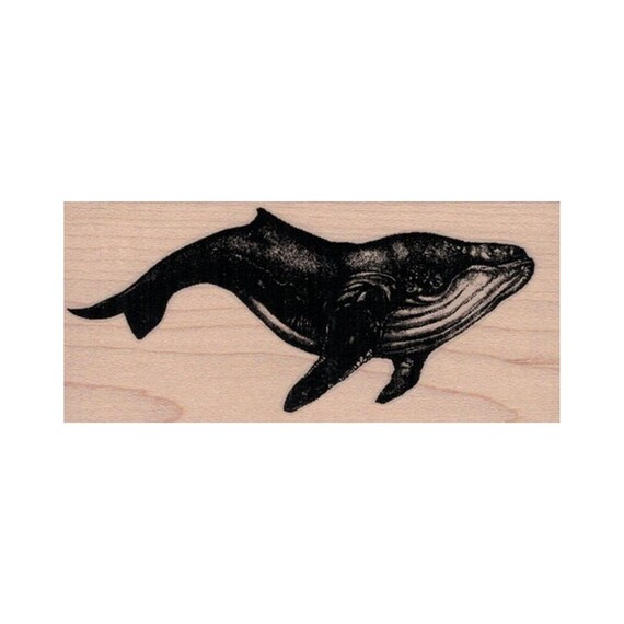HUMPBACK WHALE Rubber Stamp Ocean Stamps Sea Life Stamp - Etsy