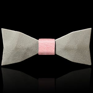 May include: A gray bow tie with a pink band in the center.