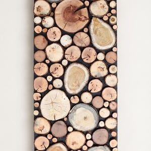 May include: A rectangular wall art piece composed of numerous circular wood slices of varying sizes and shades of brown, tan, and grey. The natural wood cross-sections are arranged closely together on a dark backing, creating a textured mosaic.