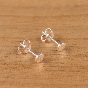 Peut inclure: Une paire de boucles d'oreilles en argent avec un design rond et plat. Les boucles d'oreilles sont simples et minimalistes.