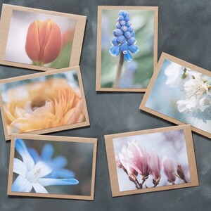 Grußkarten mit Frühlingsmotiven || Fineart Druck || Fotografie Postkarten
