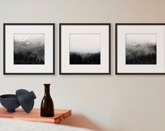 Photo prints "Fog in the forest" - set of 3 pictures