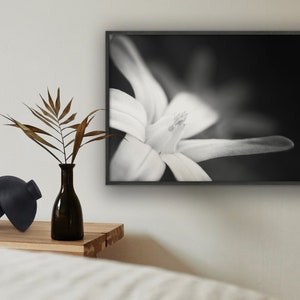 Art photography "Spring Flower" black and white