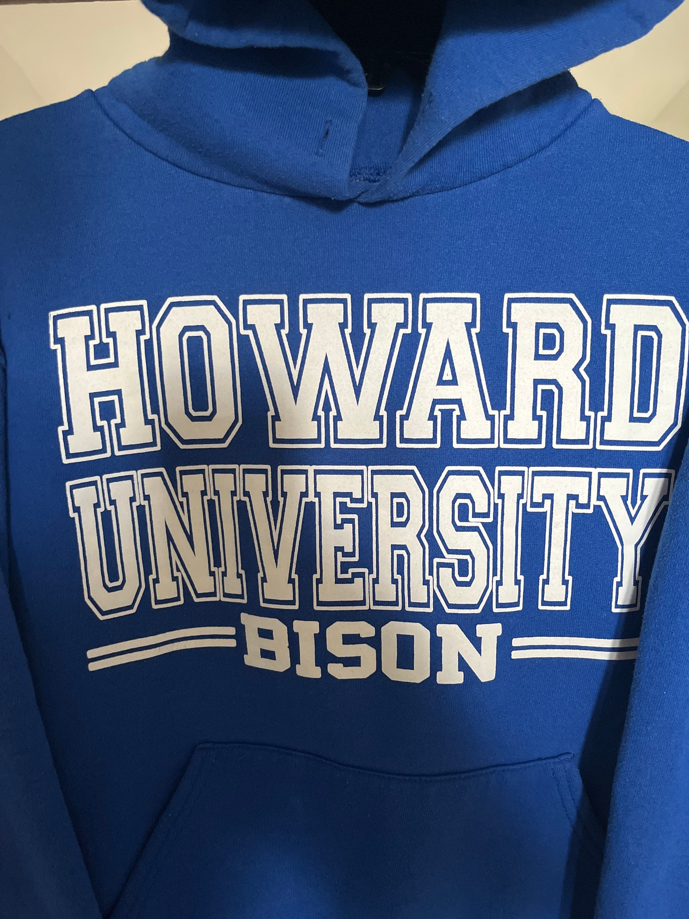 Vintage Howard University Bison Russell Athletic Hoodie - Etsy