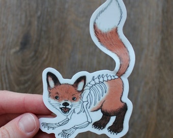 May include: A sticker of a cartoon fox with a visible skeleton, the fox is orange and white with a white tail and black eyes.