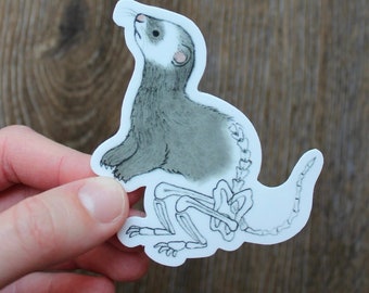 May include: A white sticker with a gray and white ferret illustration. The ferret is shown with a skeletal outline underneath its fur.