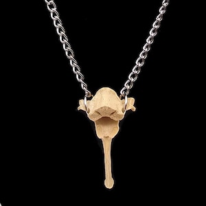 Coyote bone necklace, vulture culture, real bone, dark cottagecore, ethically sourced bone necklace, Men&#39;s oddity jewelry