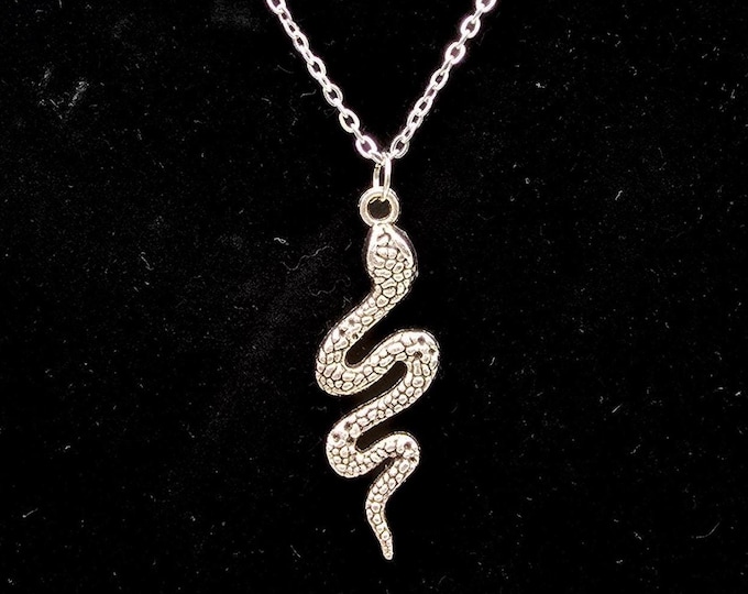 Silver snake charm necklace