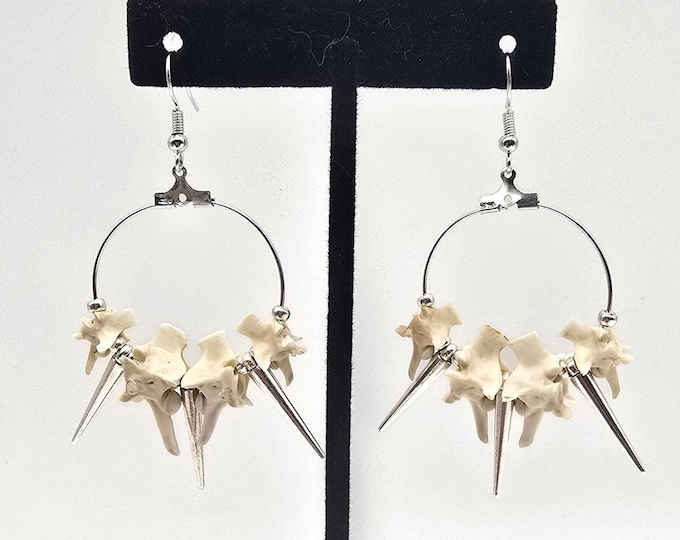 Silver spike and rattlesnake vertebrae hoop earrings