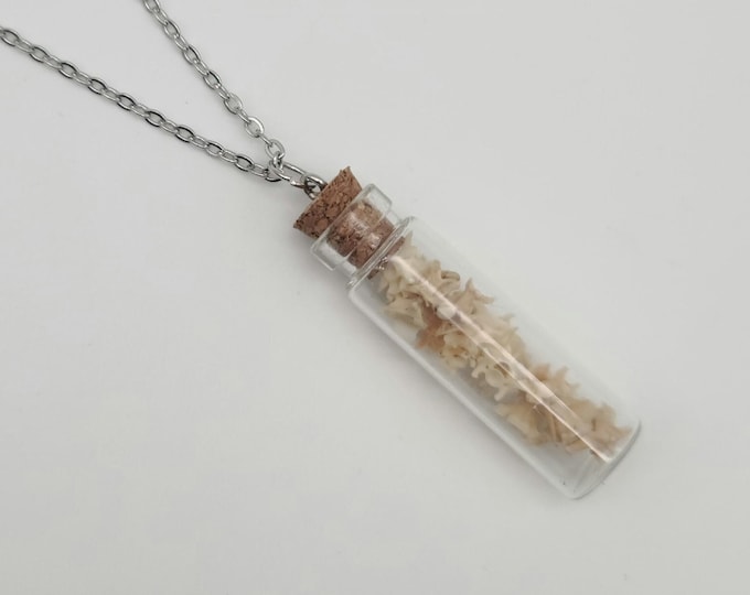 Snake vertebrae vial necklace