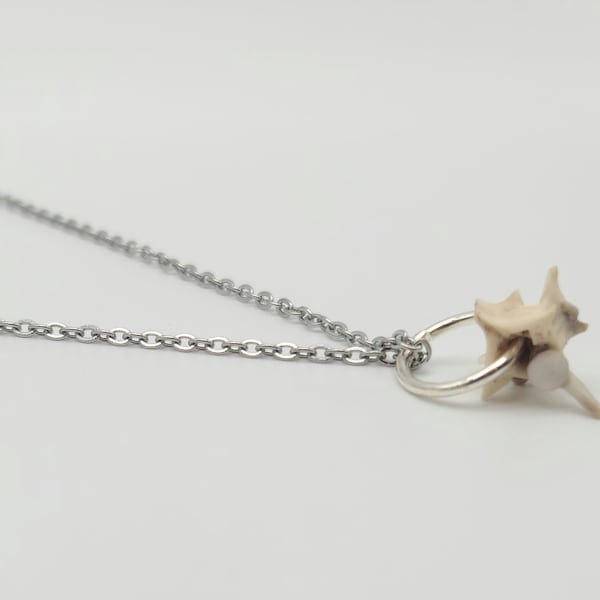 Silver single snake vertebrae bone necklace, real bone necklace, vulture culture jewelry, simple pendant necklace, taxidermy jewelry