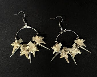 Silver spike and rattlesnake vertebrae hoop earrings