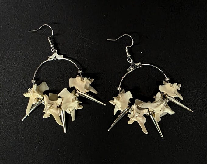 Silver spike and rattlesnake vertebrae hoop earrings