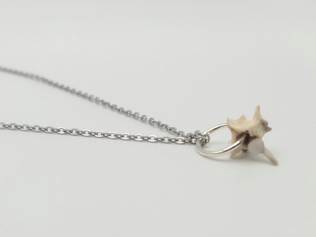 Silver Single Snake Vertebrae Bone Necklace, Real Bone Necklace