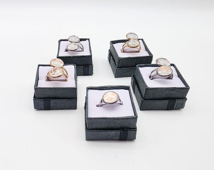 Boa constrictor shed skin ring