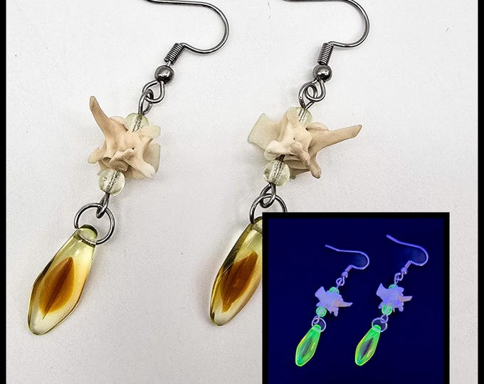 Orange uranium glass and snake vertebrae earrings