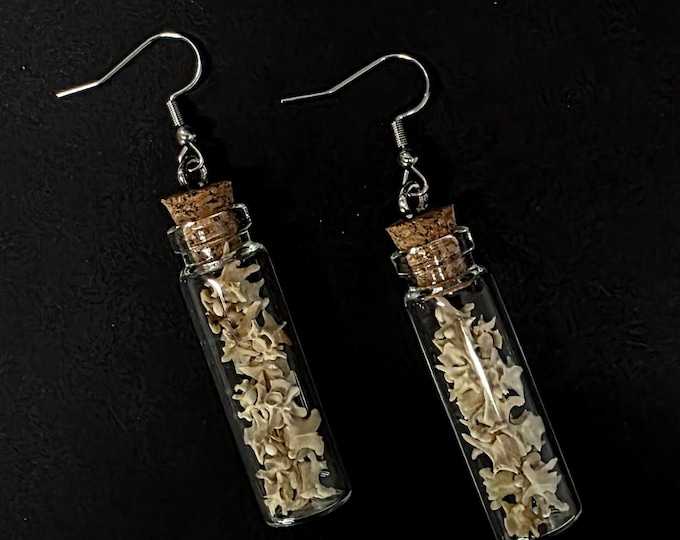 Rattlesnake vertebrae vial earrings