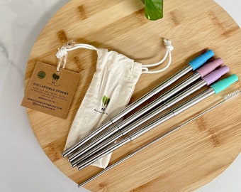 Collapsible Straw 4 Pack | Reusable Straws | Stainless Steel Straws