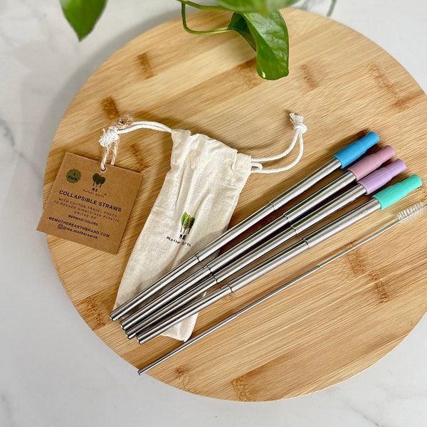 Collapsible Straw 4 Pack | Reusable Straws | Stainless Steel Straws