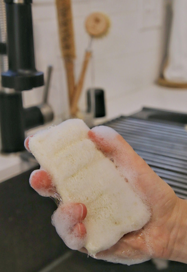 loofah sponge