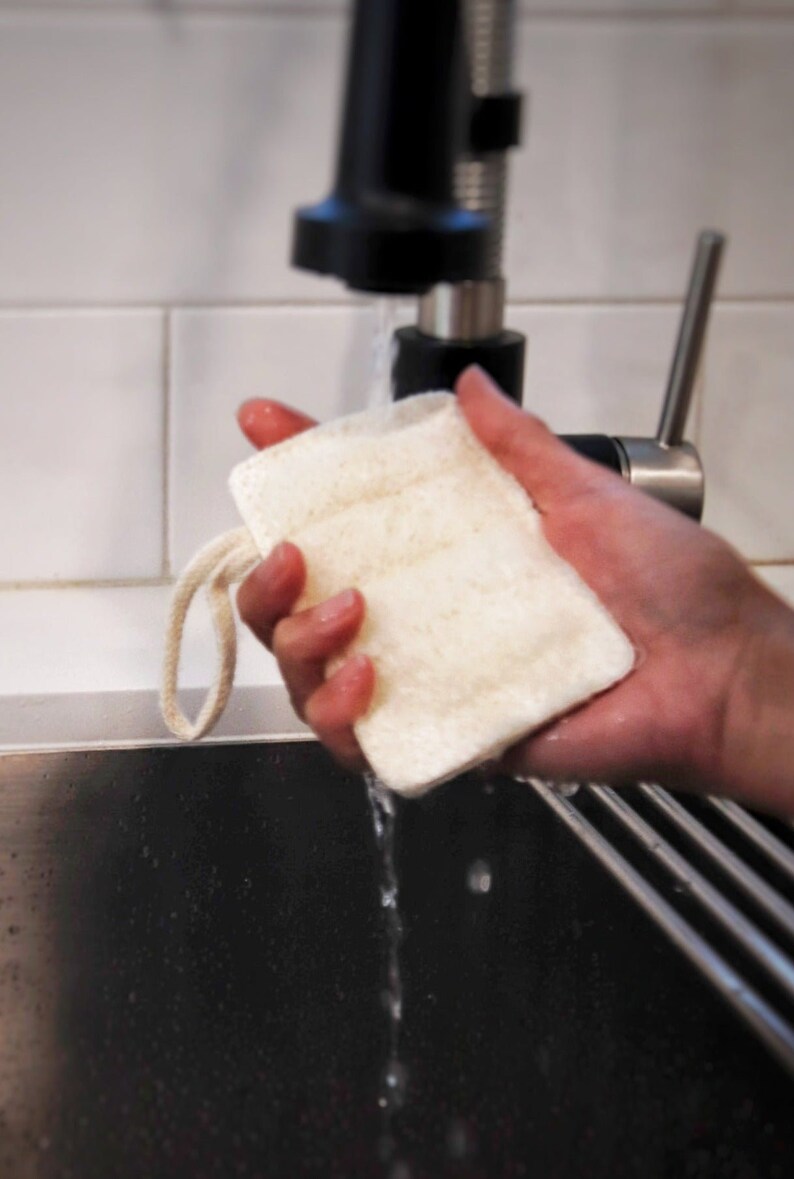 loofah dish sponge