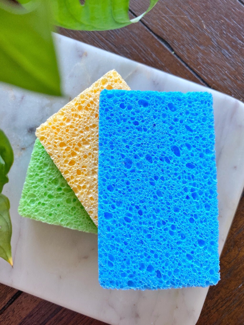 Pop up Sponges 3pack Eco Friendly Zero Waste Plastic Etsy