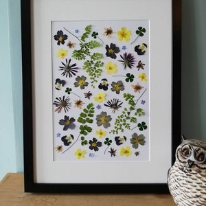 Hello Spring- pressed flower collage Giclée print A4