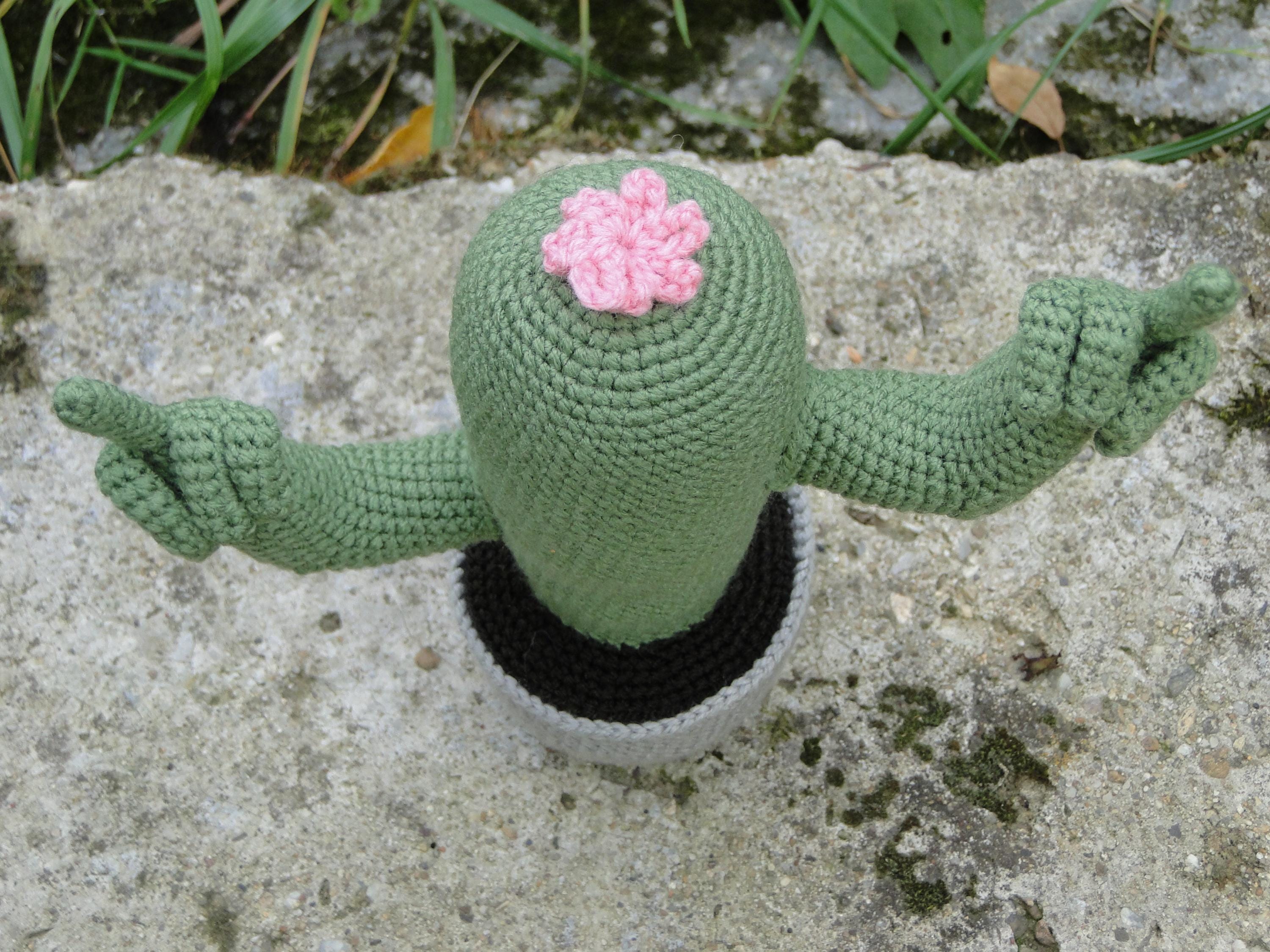 中指サボテンの編み図、面白いファックタスあみぐるみ、皮肉なデスク