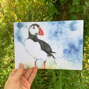 Cartões e gravuras Puffin de Aspen Salisbury