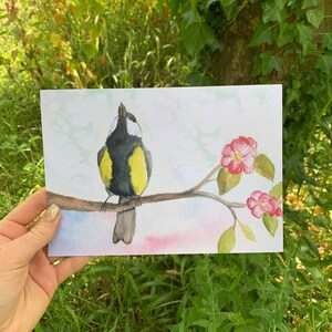 Cartes et imprimés Mésange charbonnière par Aspen Salisbury