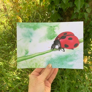 Carte e stampe coccinella di Aspen Salisbury