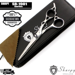 Ciseaux de coiffure professionnels Ciseaux de coiffure de salon de coiffure 6,5 pouces argent avec kit noir