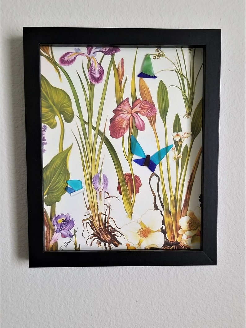Garden Butterfly Botanical Wall Print Home Decor Shadowbox image 1