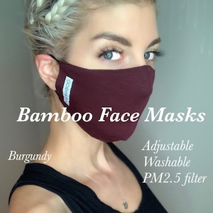 Bamboo Face Masks FREE SHIPPING Canada adjustable, washable, PM 2.5 Filter image 1