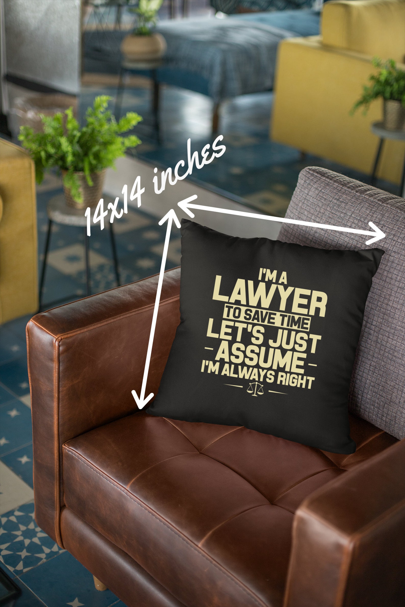 Law Student Pillow I'm A Lawyer To Save Time Let's Etsy