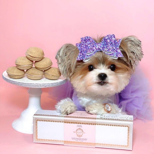 Coffret cadeau macaron pour chien, gâteries gastronomiques pour chien, boîte cadeau gâterie pour chien, cadeau unique pour chien, gâterie premium pour chien, cadeau chien maman, cadeau chien papa, Bonne et filou