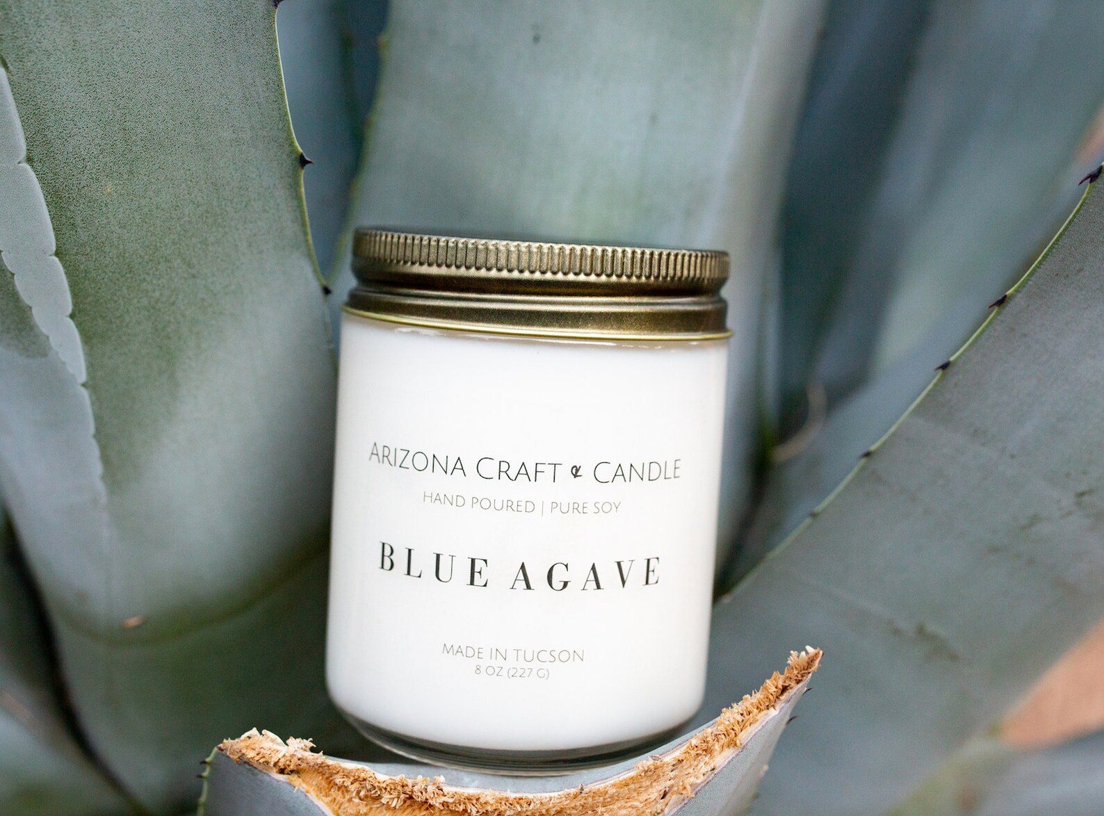 ARIZONA AGAVE CANDLE Etsy