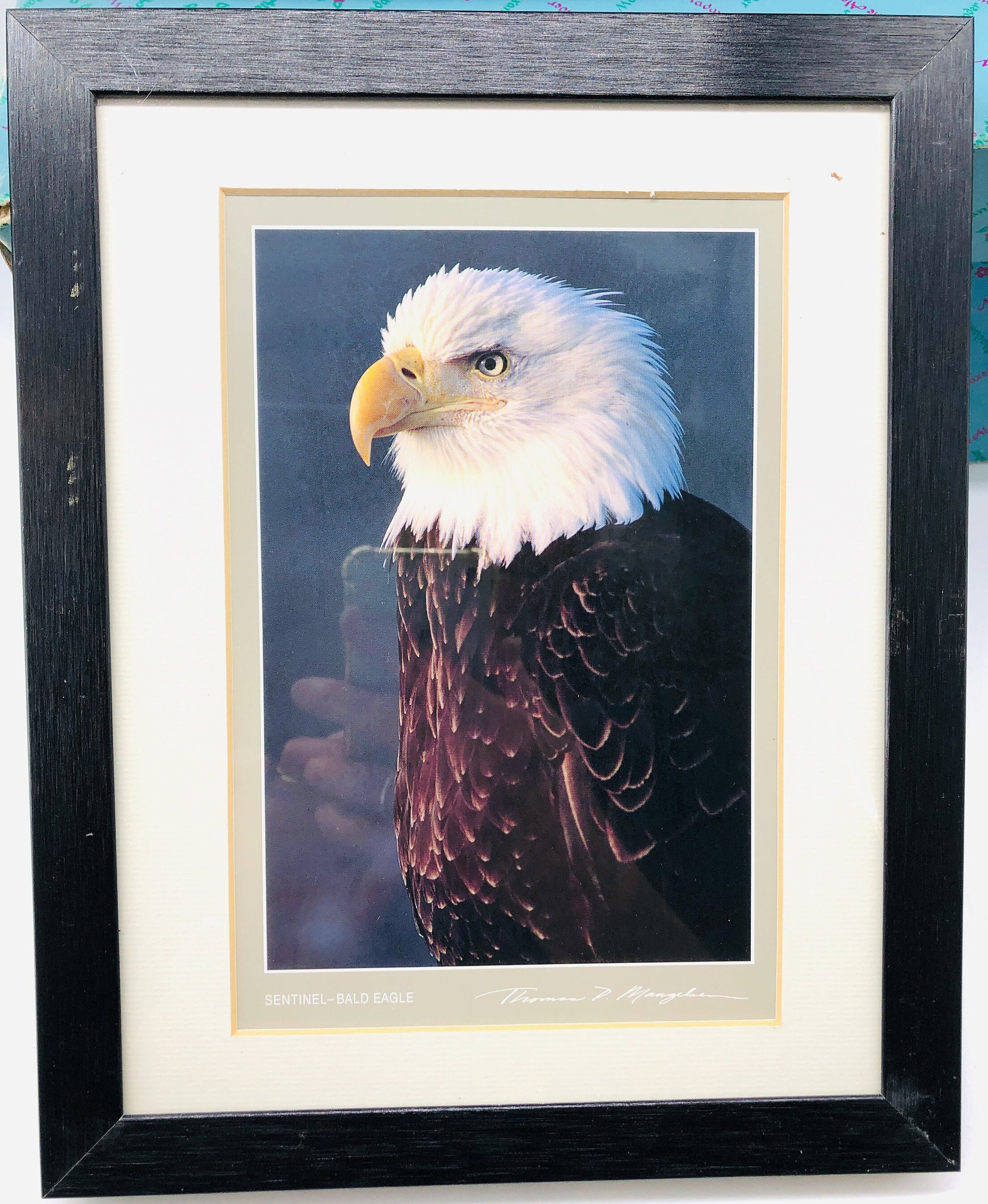 Vintage Framed Bald Eagle Print by Thomas Mangelsen: Patriotic